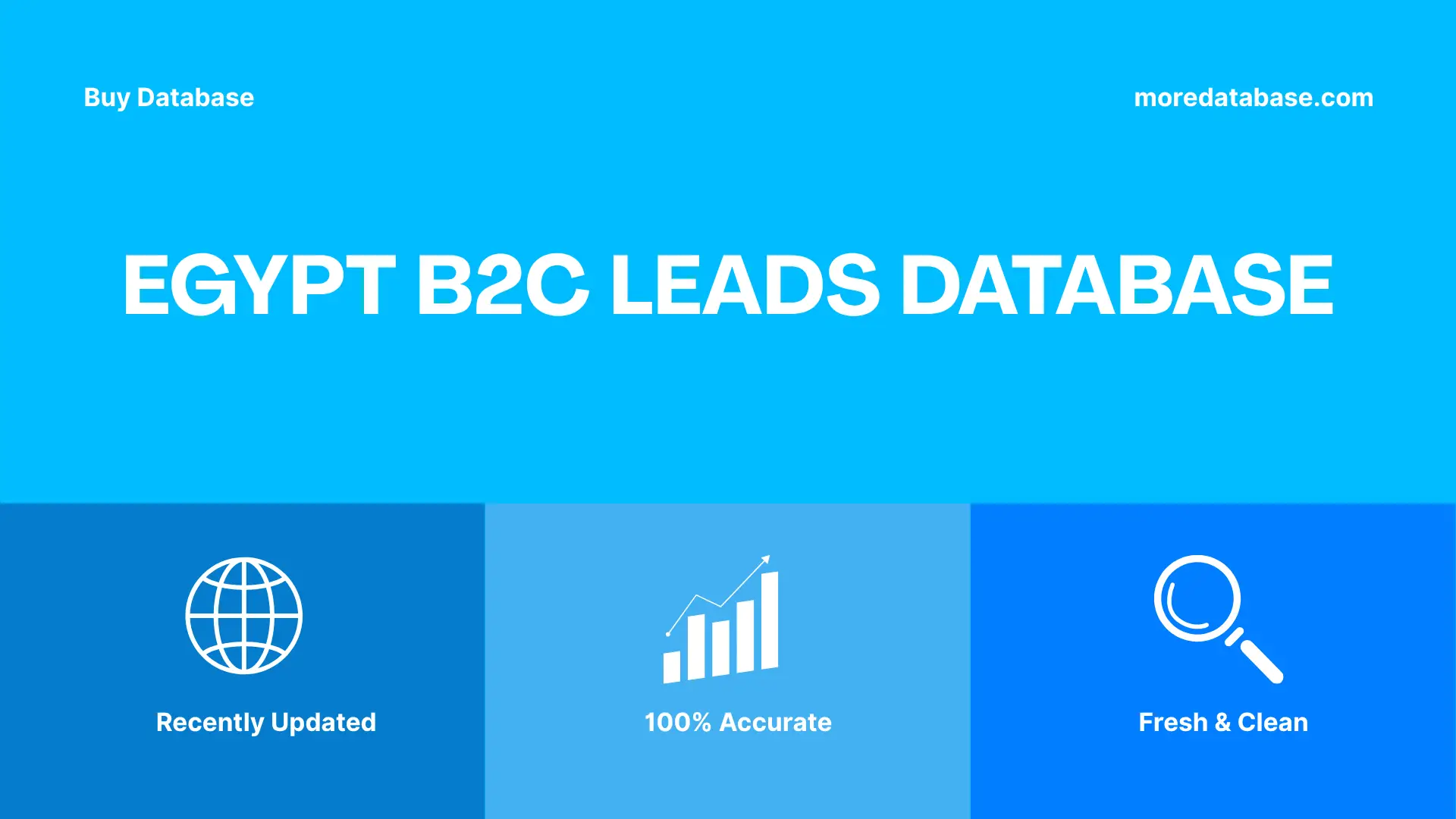 Egypt B2C Leads Database
